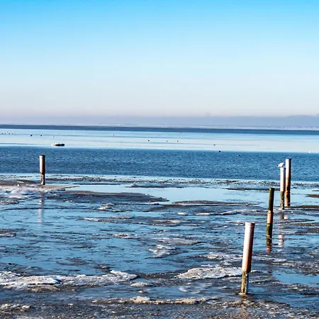 Duene By Interhome Apartment